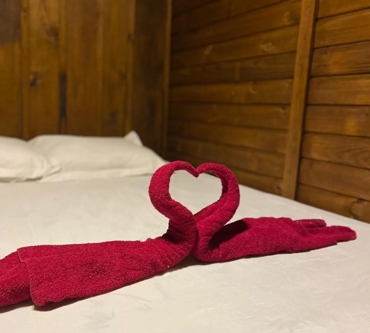 Chale Cabana Sitio Na Serra Para Amigos E Familiares Com Piscina Anitápolis 度假居
